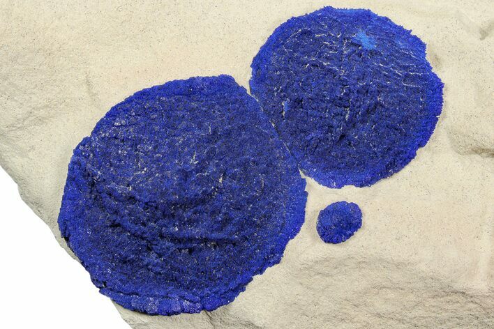 Vibrant Blue Azurite Suns on Siltstone - Australia #188419